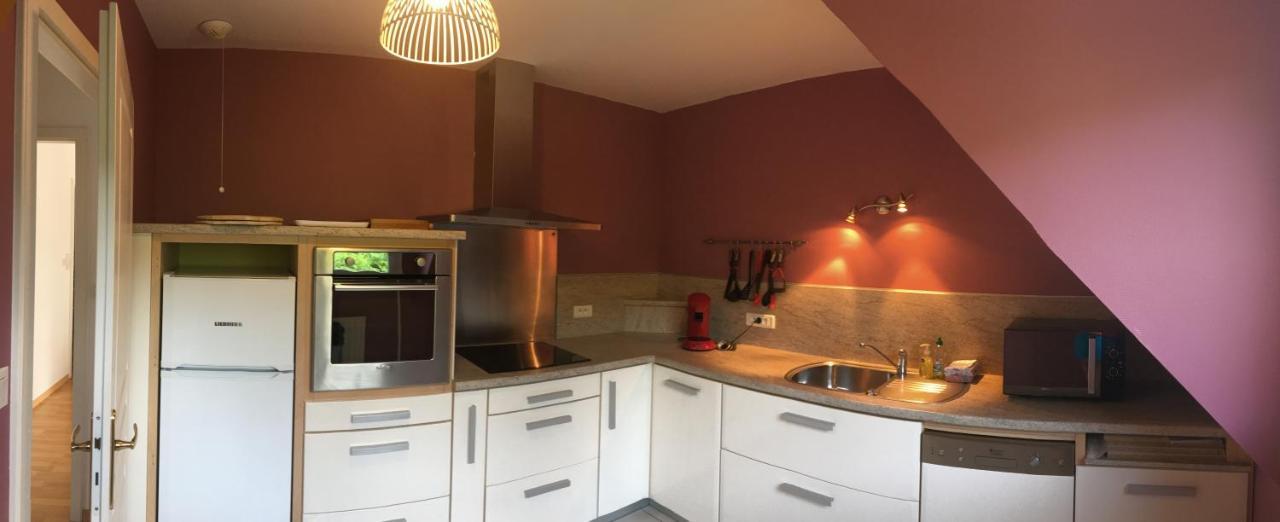 Le Panorama Apartment Kaysersberg-Vignoble Luaran gambar