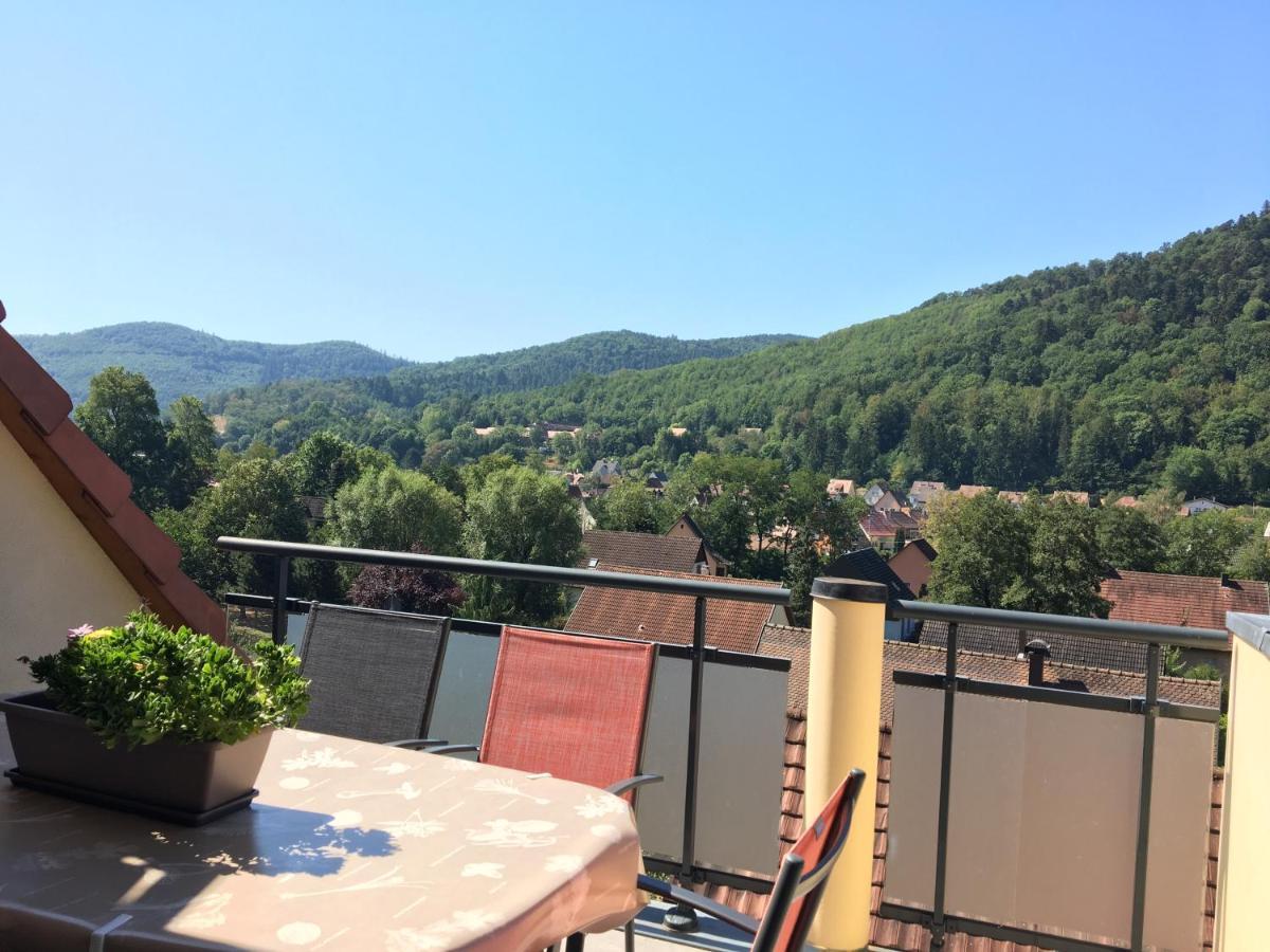 Le Panorama Apartment Kaysersberg-Vignoble Luaran gambar