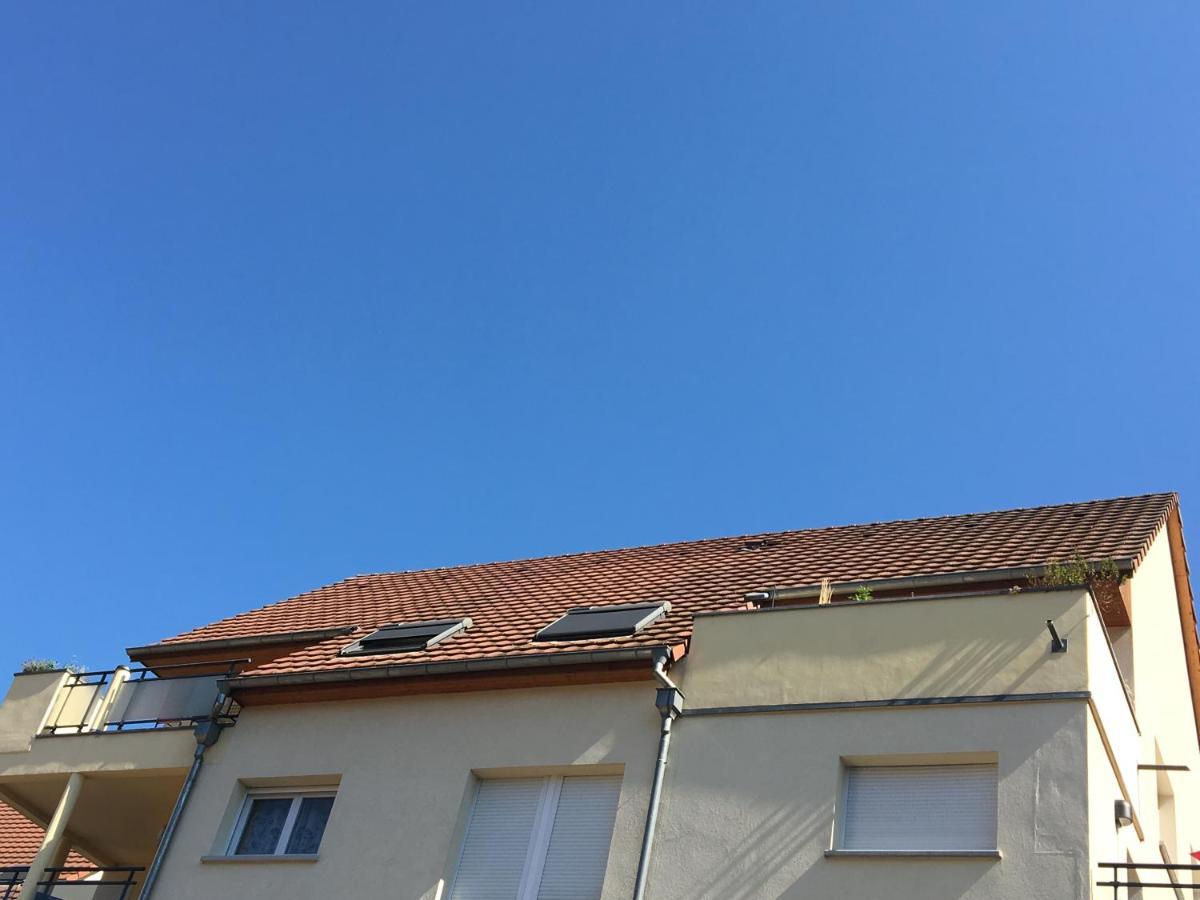 Le Panorama Apartment Kaysersberg-Vignoble Luaran gambar