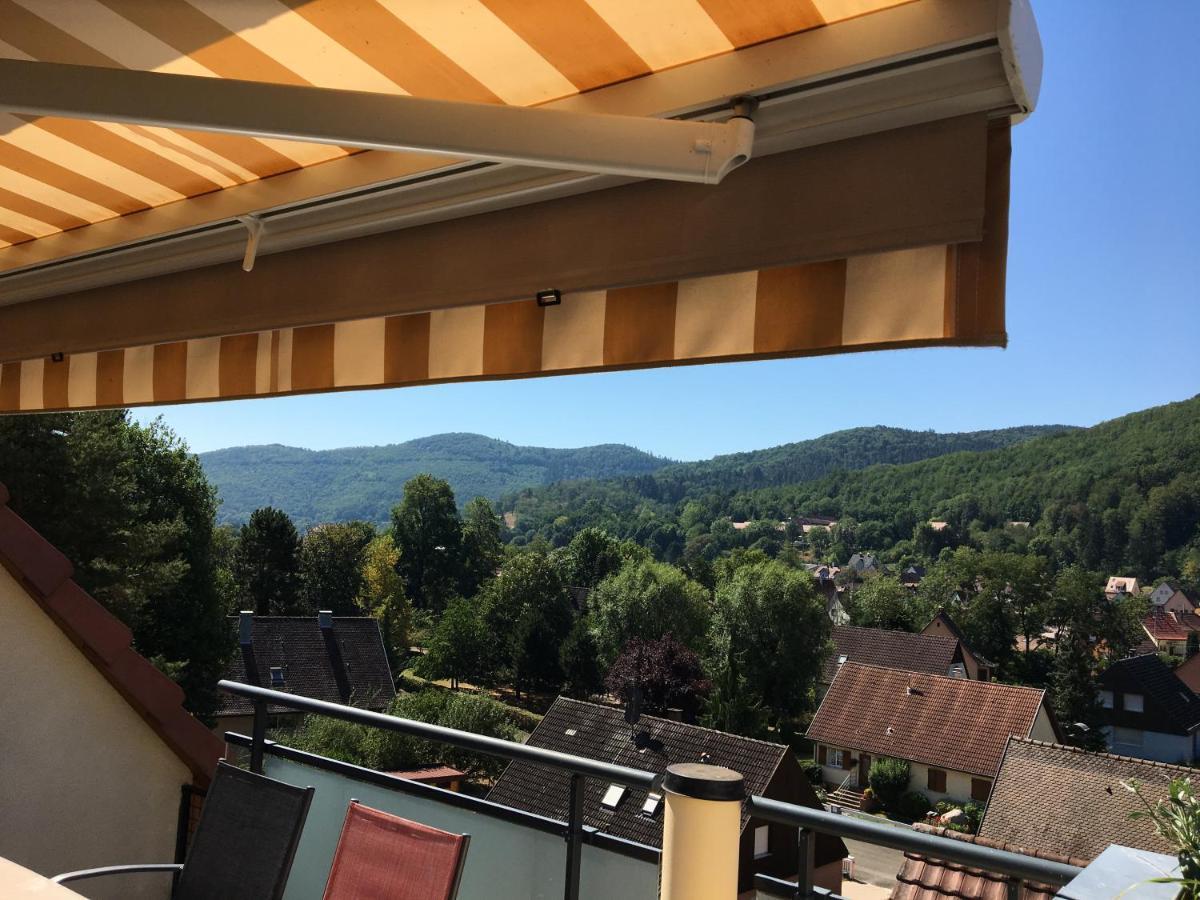Le Panorama Apartment Kaysersberg-Vignoble Luaran gambar