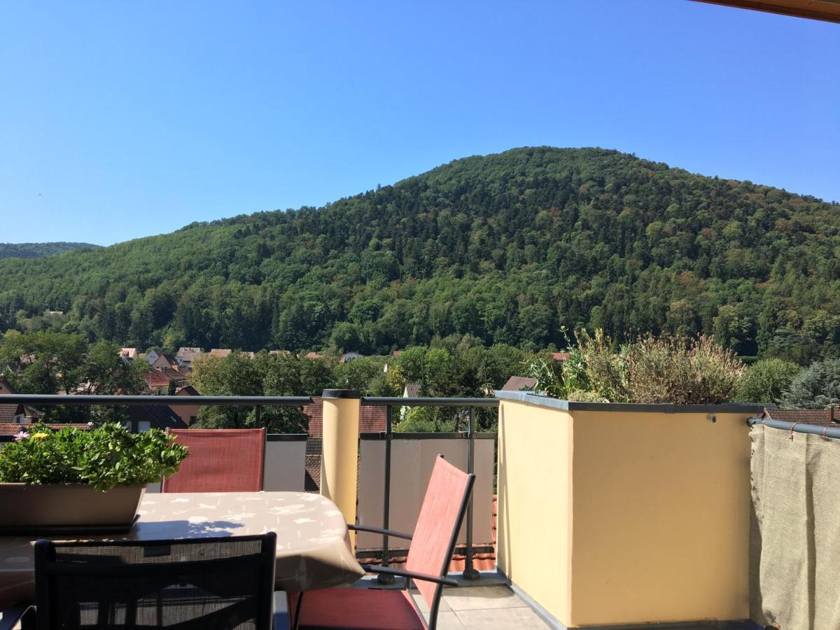 Le Panorama Apartment Kaysersberg-Vignoble Luaran gambar
