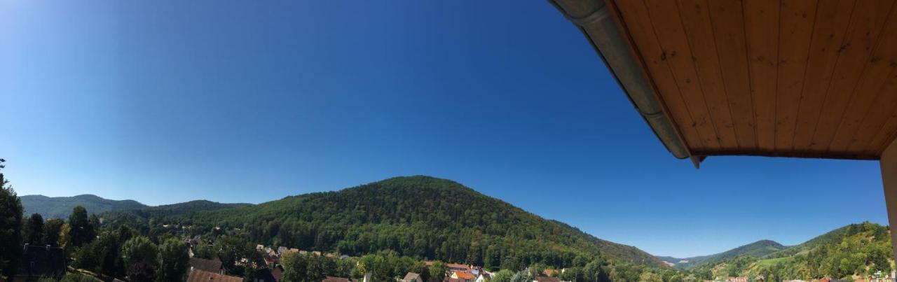 Le Panorama Apartment Kaysersberg-Vignoble Luaran gambar